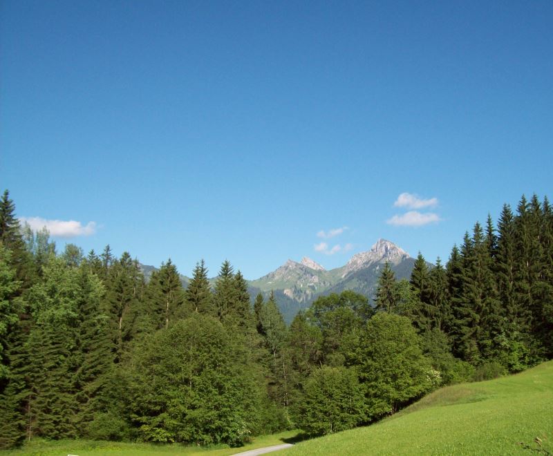 The Gehren Spitze as it appears from our terrace.